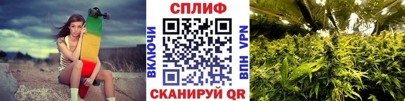 Виды наркотиков купить Новоуральск Псилоцибиновые грибы  MDMA  ГАШ  Меф мяу мяу  COCAIN  Марихуана  A PVP 