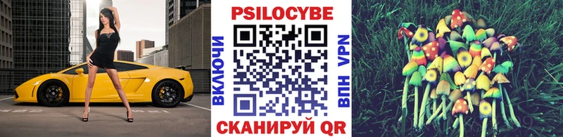 это телеграм Новоуральск Галлюциногенные грибы Psilocybe